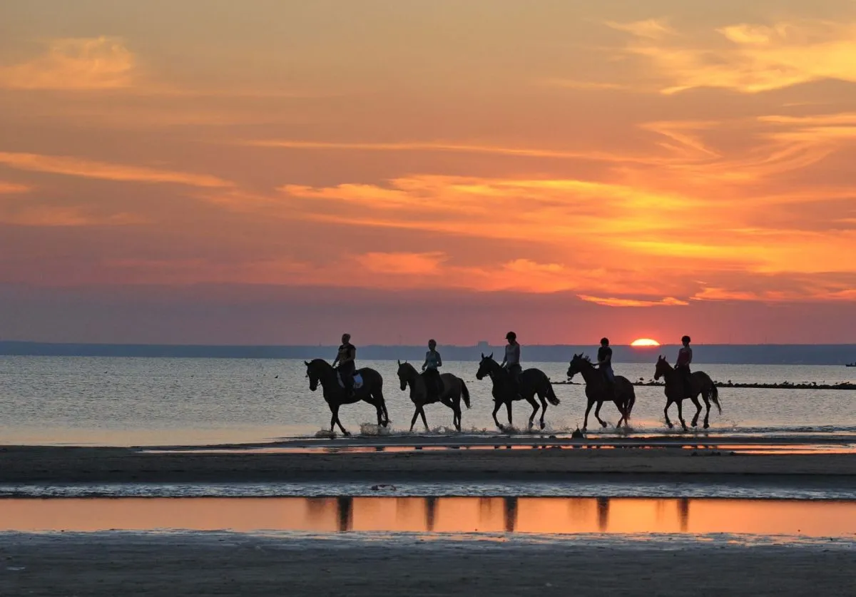 Horse Riding on the Beach